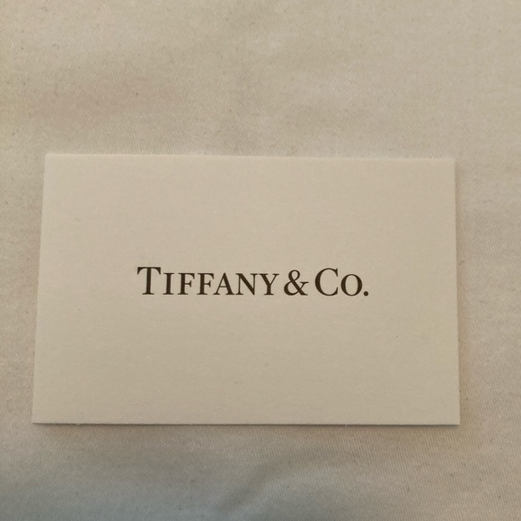 Tiffany and Co.’s Infinity Endless Necklace - Picture 9 of 11